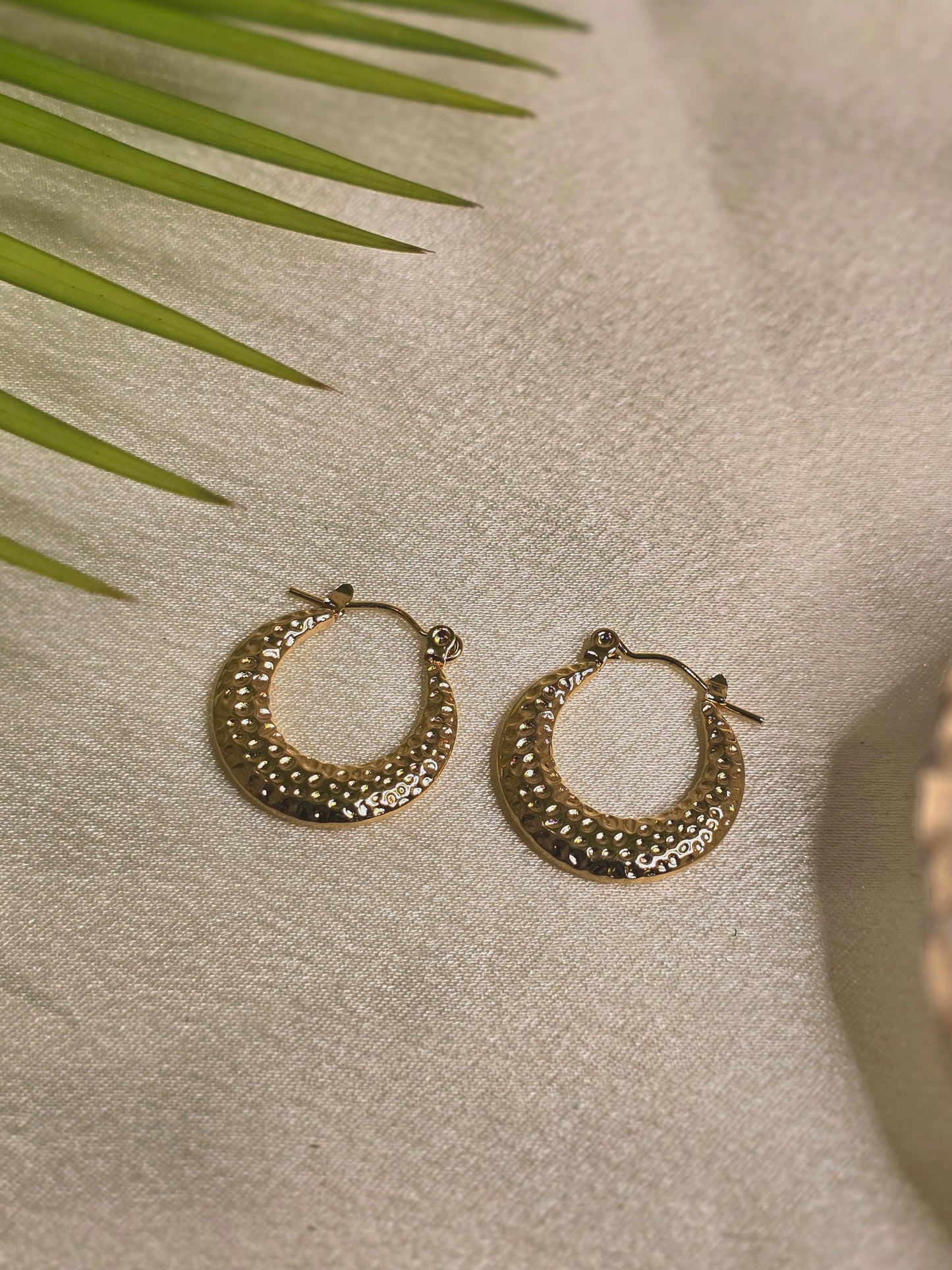 Stardust Hoops Earring Jewellery - 0032