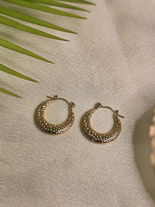 Stardust Hoops Earring Jewellery - 0032