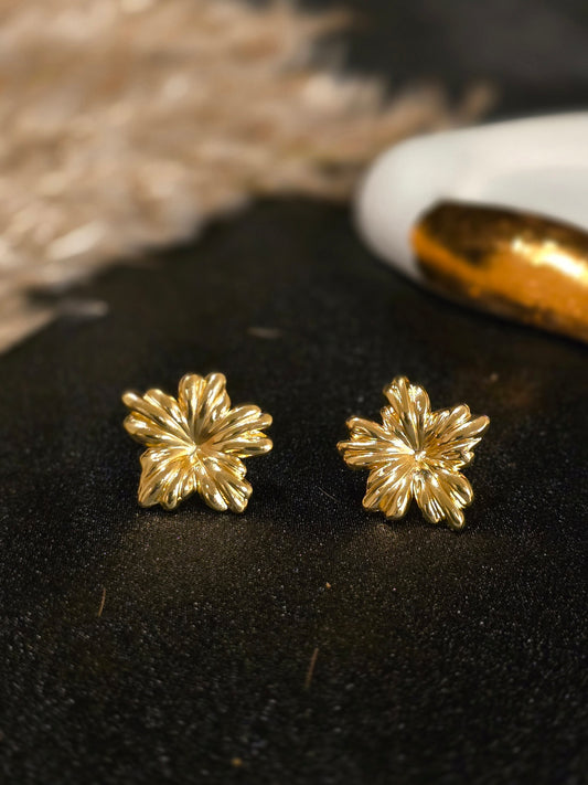 Aster Earring Jewellery - 0055